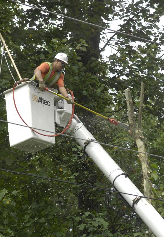 Delmarva Power trims trees to keep the lights on Cape Gazette